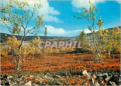 Moderne Karte Lappi Lapland Suomi Finland Ruska aika Russet Colours