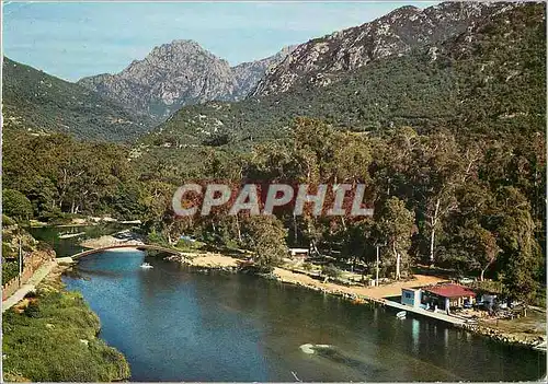 Cartes postales moderne La Corse Ile de Beaute Porto Le Pont et la Foret