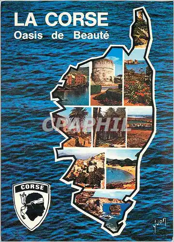 Cartes postales moderne La Corse Oasis de Beate