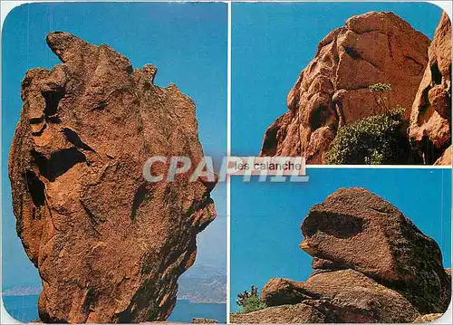 Cartes postales moderne Panorama de la Corse Les Calanche de Piana Galerie de Portraits