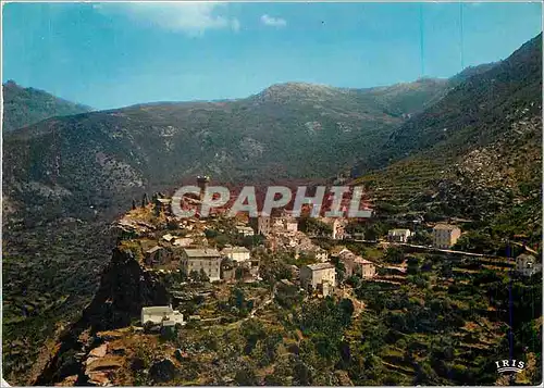 Cartes postales moderne Nonza Cap Corse Vue generale Site pittoresque