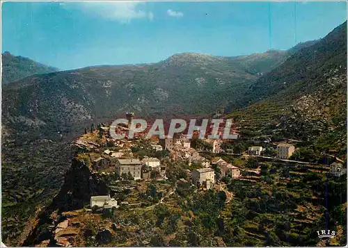 Moderne Karte Nonza Cap Corse Vue generale Site pittoresque