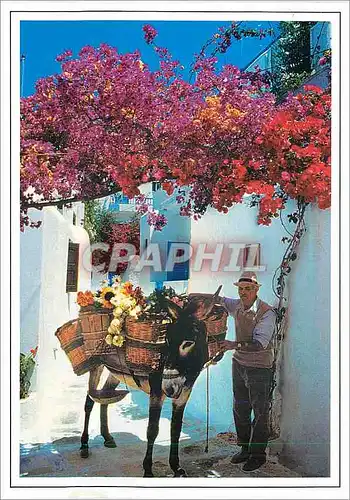 Cartes postales moderne Greece