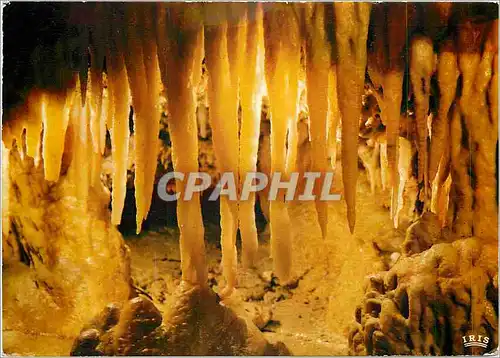 Cartes postales moderne Les Eyzies Dordogne Capitale de Prehistoire Grotte du Grand Roc