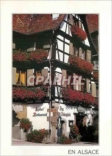 Cartes postales moderne L'Alsace Pittoresque Une maison fleurie