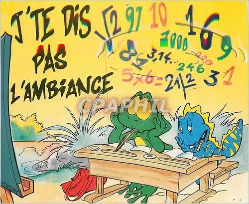 Cartes postales moderne J'te dos pas l'ambiance Grenouille