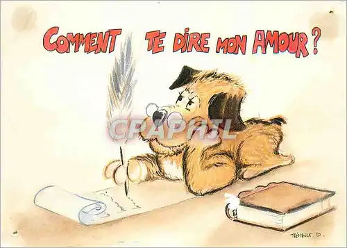 Cartes postales moderne Comment te dire mon amour