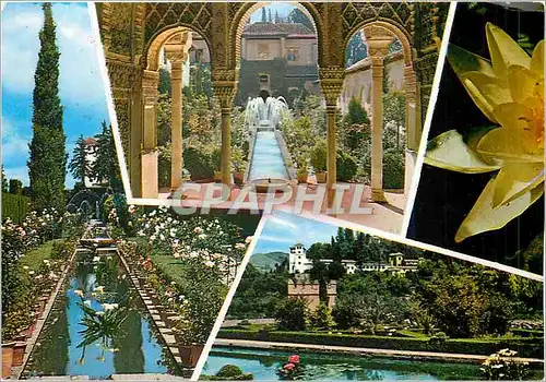 Cartes postales moderne Granada Generalife