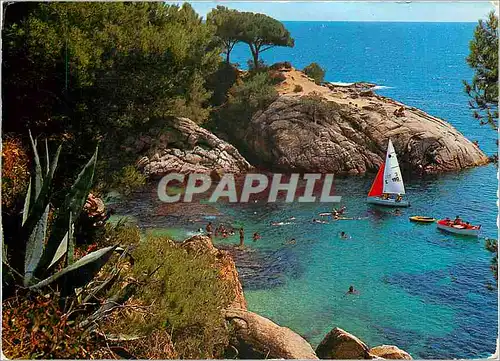 Cartes postales moderne Costa Brava Playa de Aro Cala Sa Cova