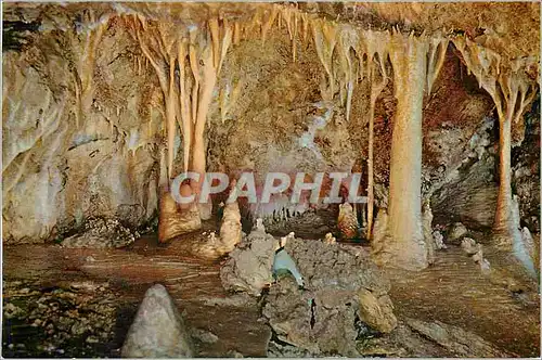 Cartes postales moderne Cuevas de Mallorca Petit Theatre