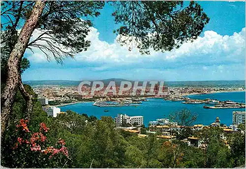 Cartes postales moderne Mallorca Palama Vista general desde el barque de Bellver