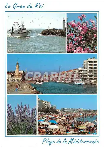 Cartes postales moderne Le Grau du Roi Plage de la Mediterranee