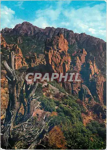 Cartes postales moderne Les calanches de Piana