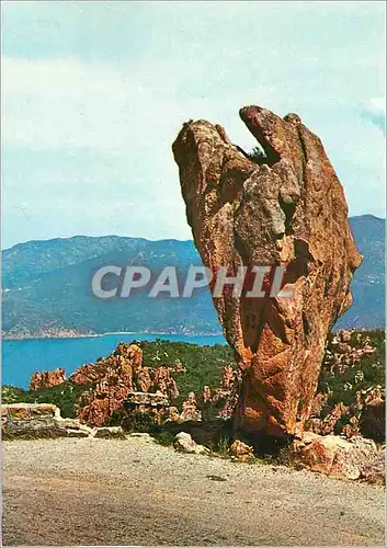 Cartes postales moderne Calanche de Piana La bedouine