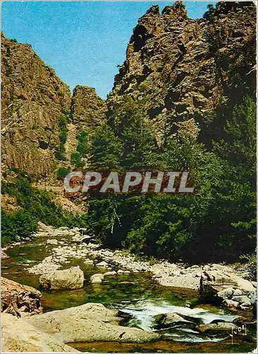 Cartes postales moderne Gorges de l'Asco