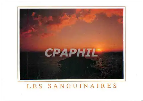 Cartes postales moderne L'lle de beaute Les Sanguinaires