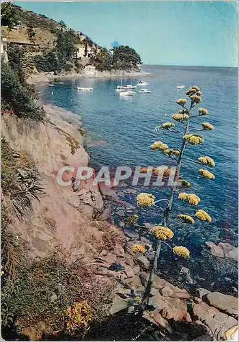 Cartes postales moderne Cote d'Azur