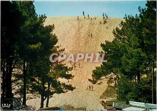 Cartes postales moderne Baie d'Arcachon