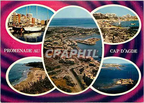 Cartes postales moderne Station du Bas Languedoc Le Cap d'Agde