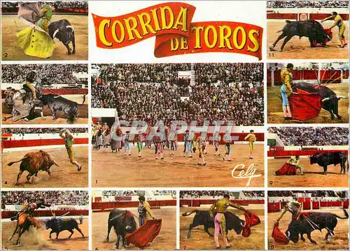 Cartes postales moderne Corrida de Toros Diversas faces de una corrida