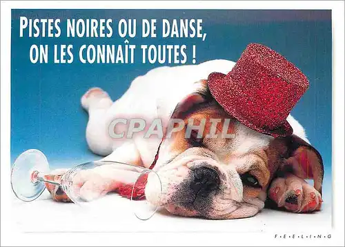 Moderne Karte Pistes noires ou de danse on les connait toutes Ski Chien