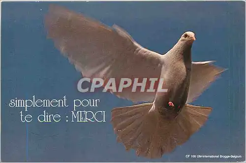 Cartes postales moderne Simplement pour te dire Merci