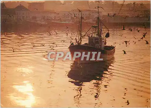 Cartes postales moderne Retour de Peche Back from fishing