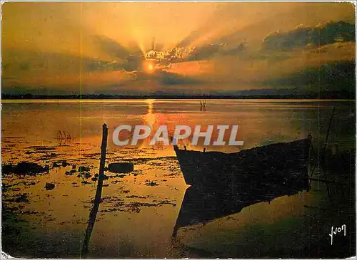 Cartes postales moderne Couleurs et Lumiere de France Coucher de Soleil