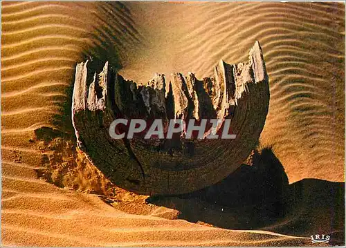 Cartes postales moderne La mer Cote sableuse
