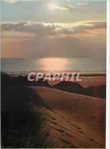 Cartes postales moderne Littoral Mediterraneen