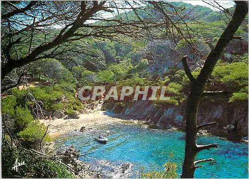 Cartes postales moderne Lumiere et Beaute de la Cote d'Azur