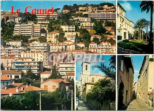 Cartes postales moderne Le Cannet Alpes Mar