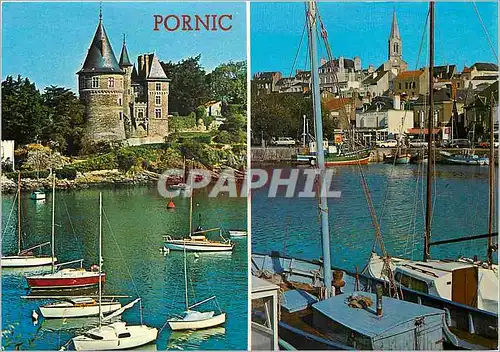 Cartes postales moderne Pornic Le port et le chateau