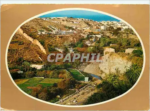 Cartes postales moderne Derna The Valley