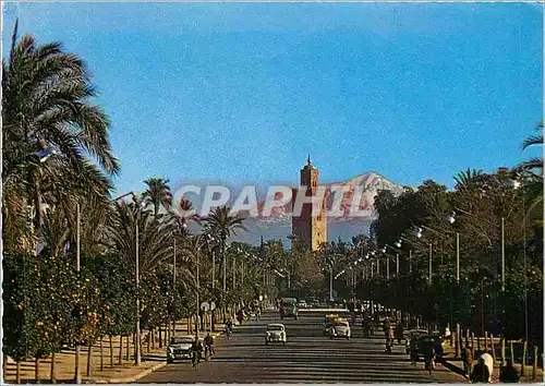 Cartes postales moderne Marrakech Avenue Mohammed V avec Koutoubia