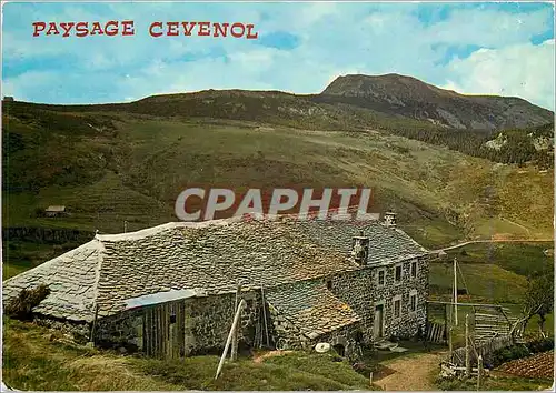 Cartes postales moderne Le Plateau Cevenol En arrirere plan le Mont Mezenc