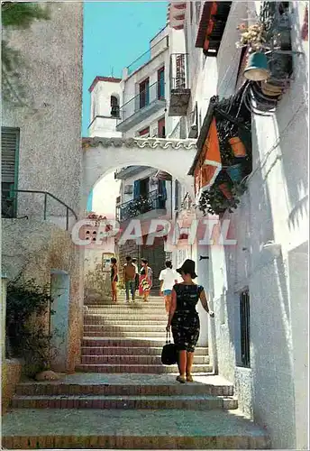 Cartes postales moderne Benidorm Alicante Typique Rue des Chats