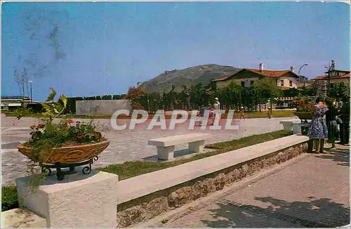 Cartes postales moderne Laredo Espana Des jardins au dessus de la plages