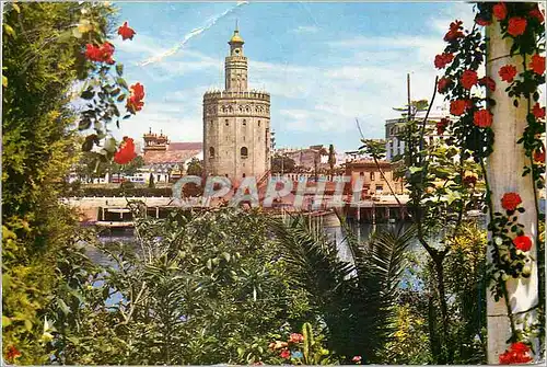 Cartes postales moderne Sevilla La Tour de l'Or