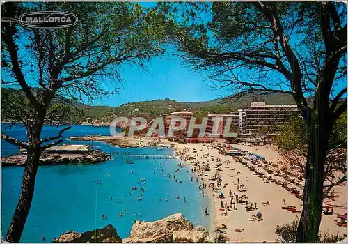 Cartes postales moderne Mallorca Baleares Espana Camp de Mar