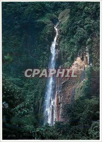 Cartes postales moderne Couleurs de la Guadeloupe Carbet Falls