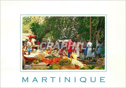 Moderne Karte Martinique Antilles francaises French West Indies Fort de France marcue aux fruits de la riveire