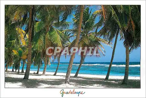 Cartes postales moderne Guadeloupe