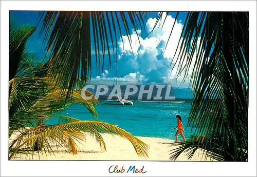 Cartes postales moderne Antilles Plage de la Caravelle