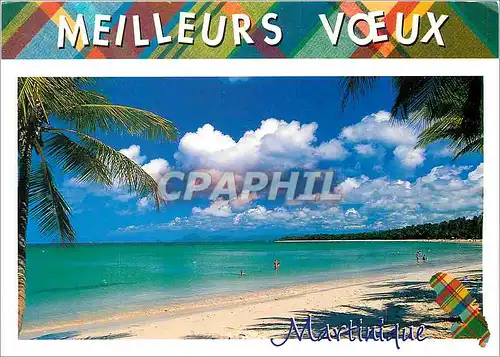 Cartes postales moderne Martinique Les Salines