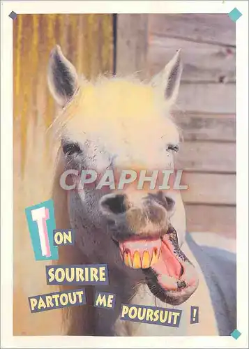 Cartes postales moderne Ton Sourire partout me poursuit
