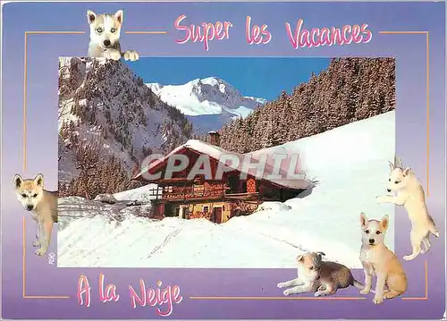 Moderne Karte Super les Vacances A la neige Chiens