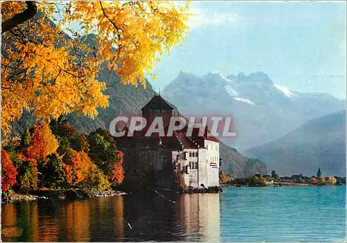 Cartes postales moderne Lac Leman Le Chateau de Chillon et les Dents du Midi