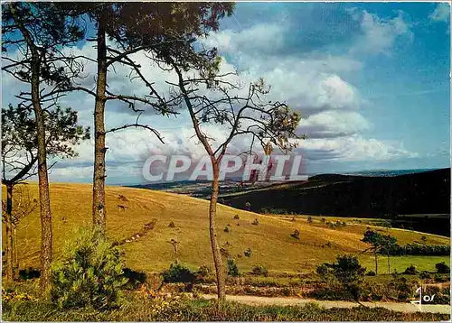 Cartes postales moderne La Bretagne en Couleurs Lande bretonne dans les Montagnes Noires