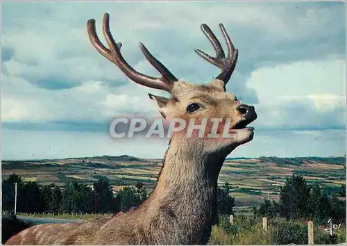 Moderne Karte La Bretagne en Couleurs Parc Naturel Regional D'Armorique  Cerf commun
